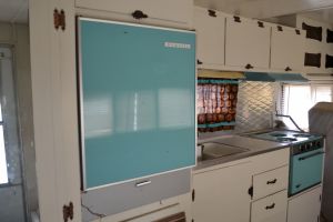 Those gorgeous turquoise appliances made me weak in the knees!