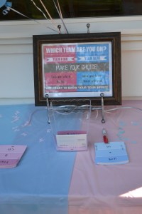 Gender Reveal_011